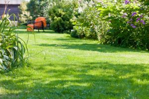 travaux jardin et paysage Lamothe-Montravel